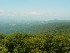 View from Olson Lookout Tower